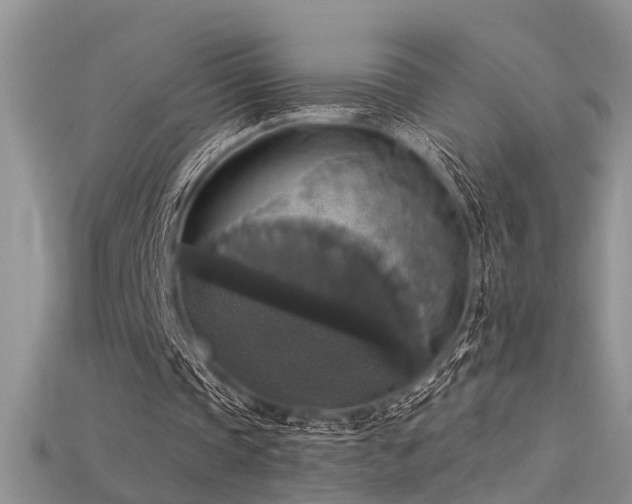 X0000115670337200911121157