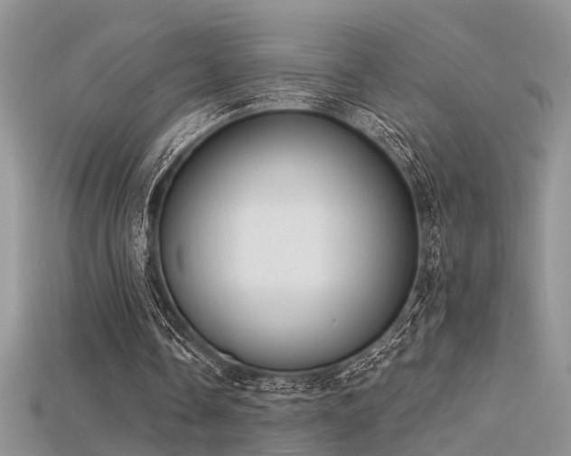 X0000115670338200911121157
