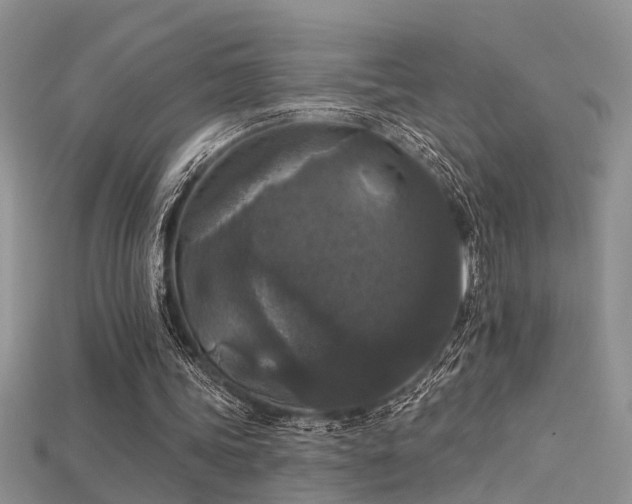 X0000115670339200911121157