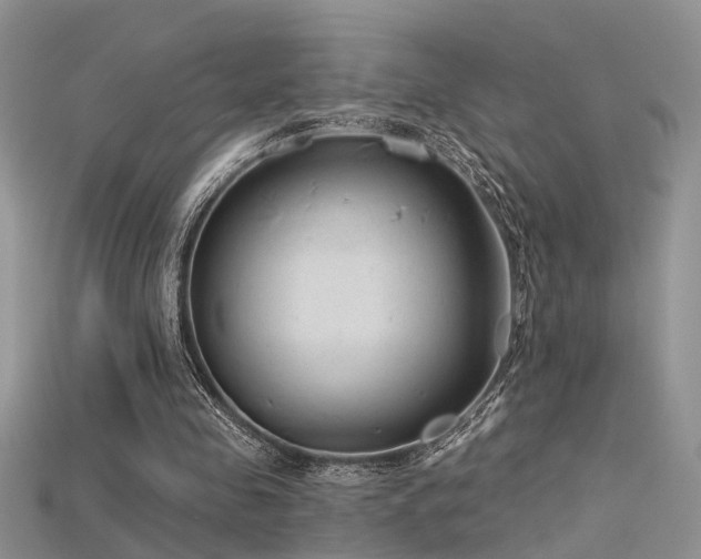 X0000115670341200911121157