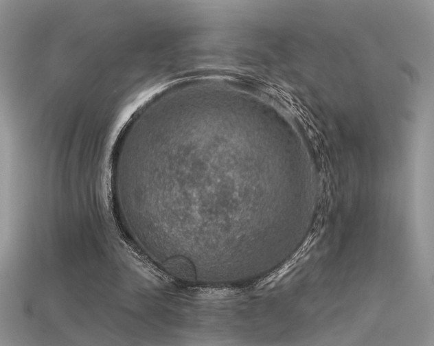 X0000115670342200911121157