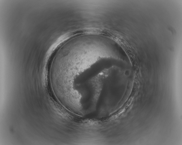 X0000115670343200911121157