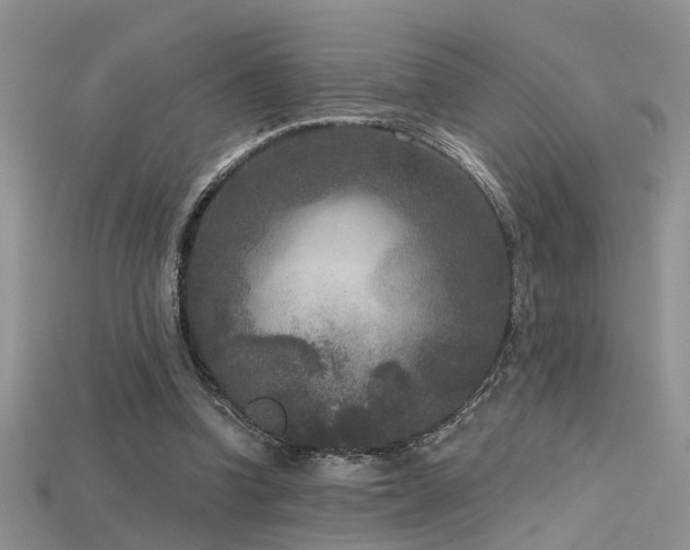 X0000115670346200911121157