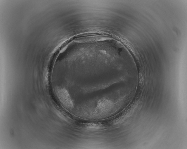 X0000115670347200911121157