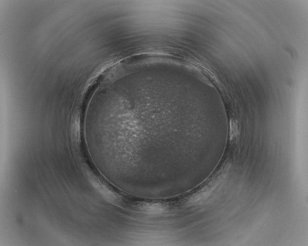 X0000115670349200911121157