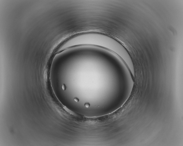 X0000115670350200911121157