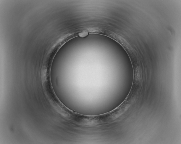 X0000115670351200911121157