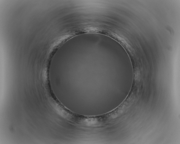X0000115670353200911121157