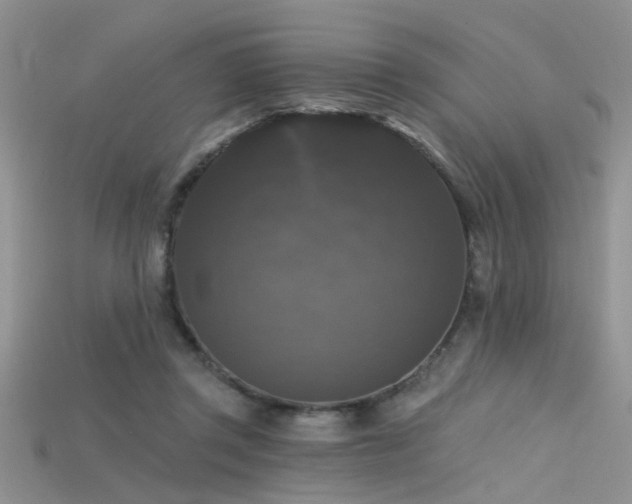 X0000115670357200911121158