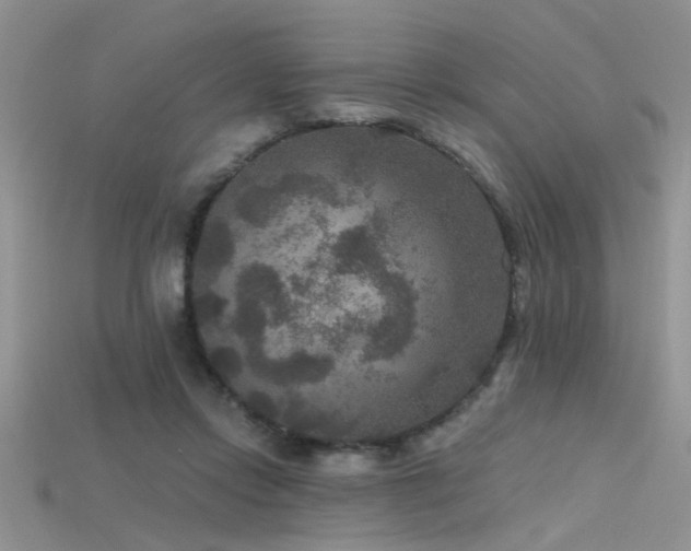X0000115670358200911121158