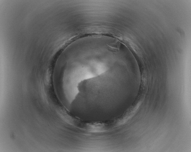 X0000115670359200911121158