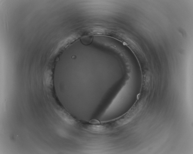 X0000115670361200911121158