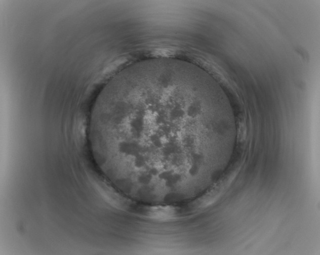 X0000115670363200911121158