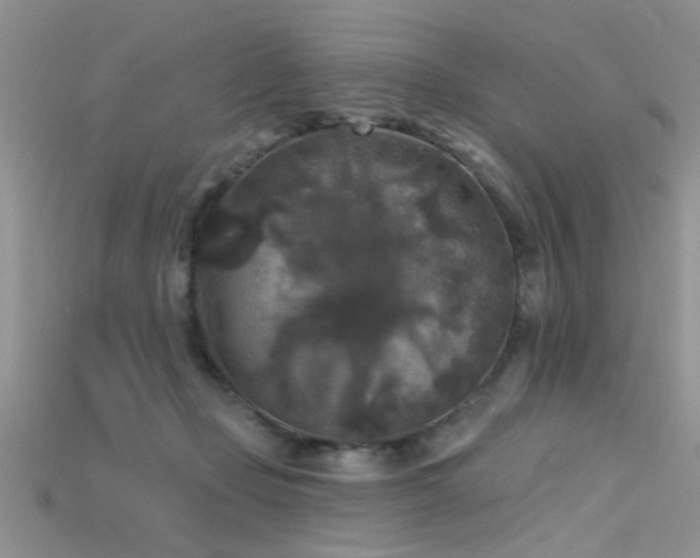 X0000115670365200911121158