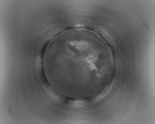 X0000115670366200911121158