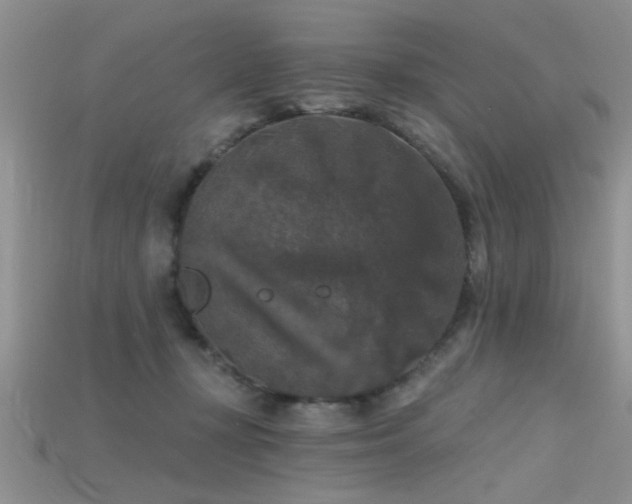 X0000115670367200911121158