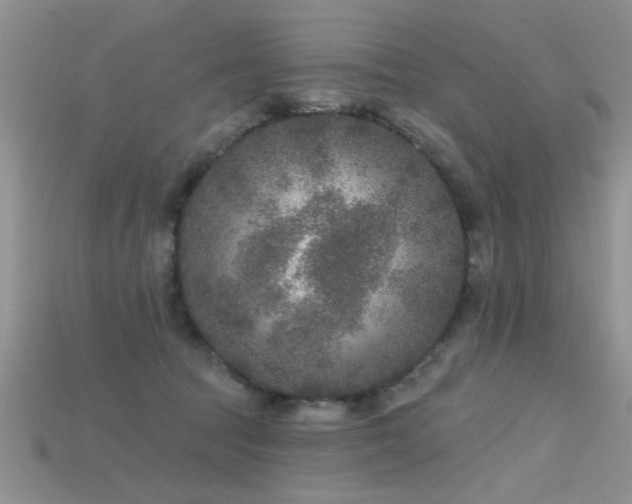 X0000115670369200911121158