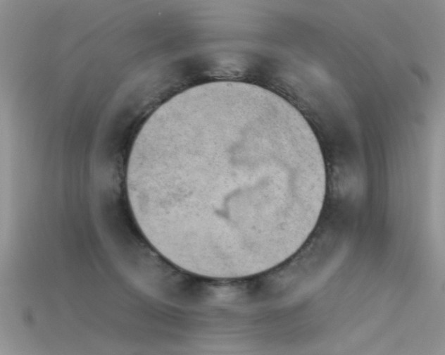 X0000115670370200911121158
