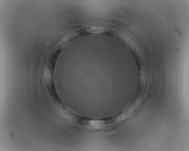 X0000115670371200911121158
