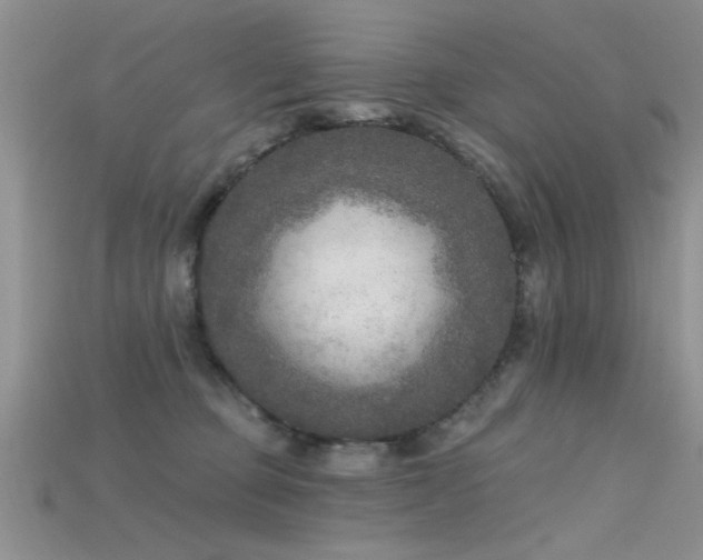 X0000115670373200911121158