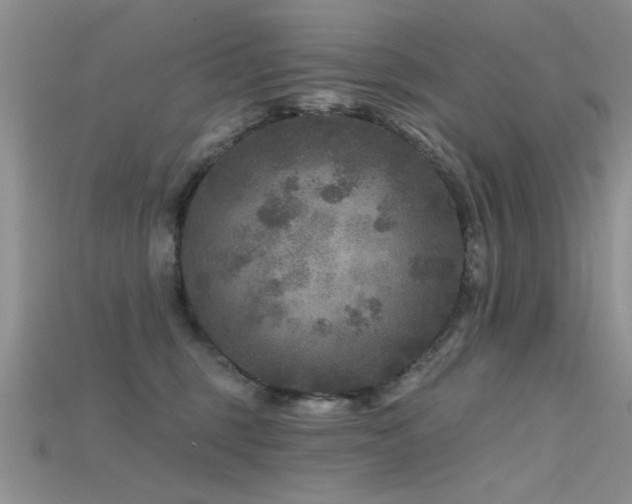 X0000115670375200911121158