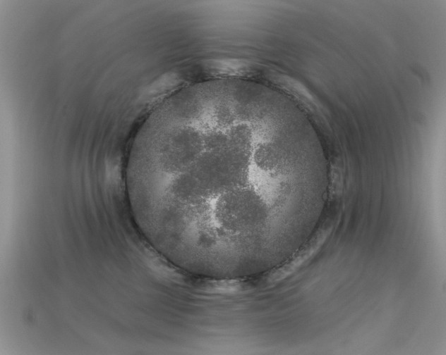 X0000115670377200911121158