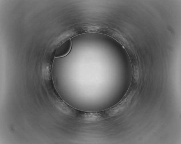X0000115670378200911121158