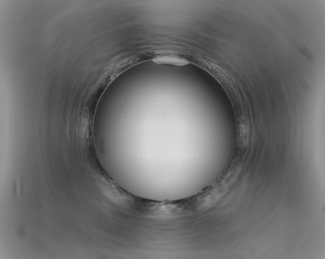 X0000115670379200911121158