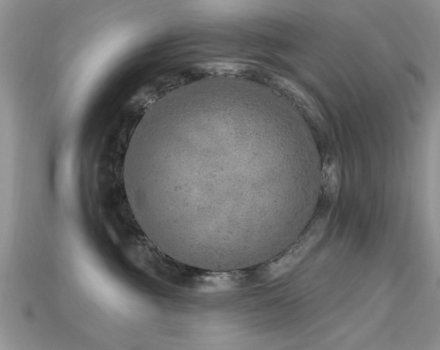 X0000115670381200911121158