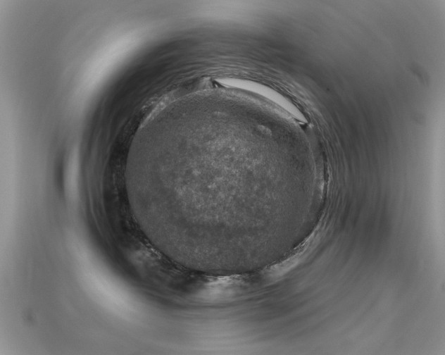 X0000115670382200911121158