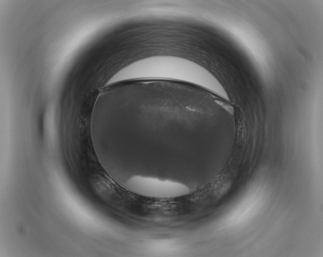 X0000115670383200911121158