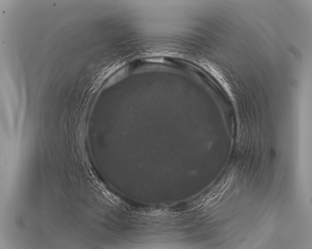 X0000115670385200911121157