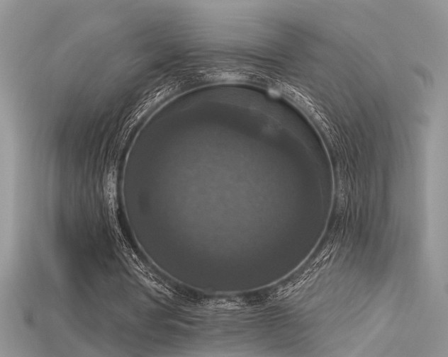 X0000115670386200911121157