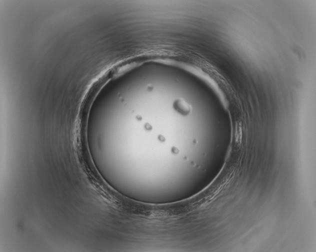 X0000115670388200911121157