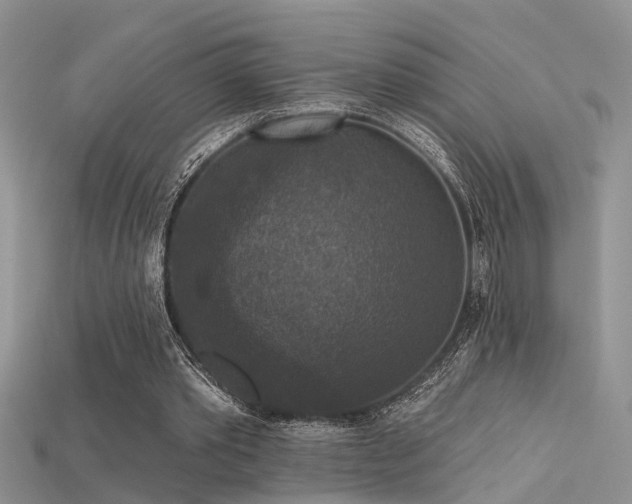X0000115670389200911121157