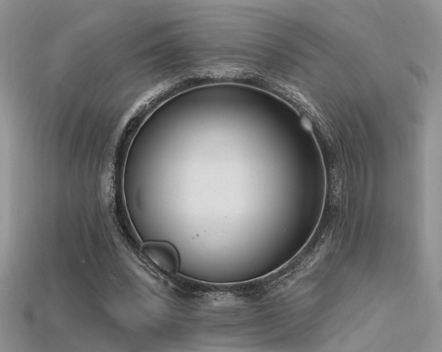 X0000115670392200911121157