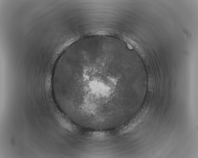 X0000115670394200911121157