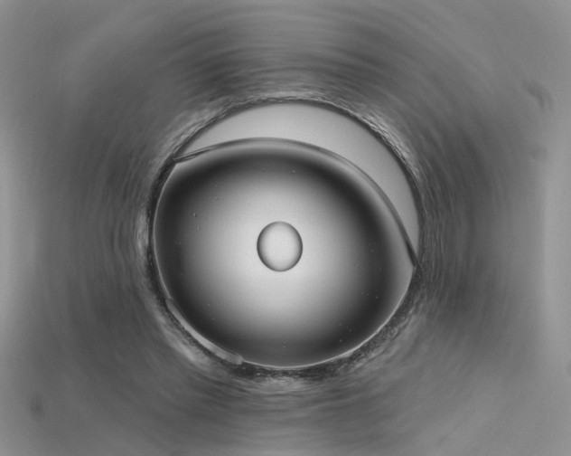 X0000115670397200911121157