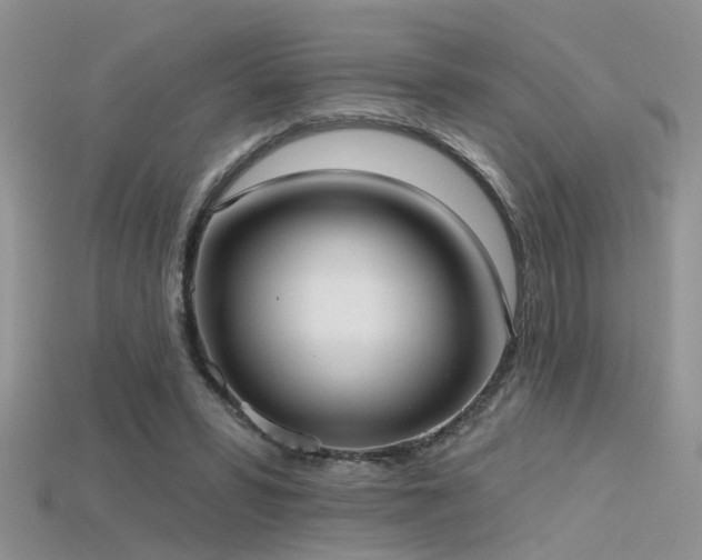 X0000115670399200911121157