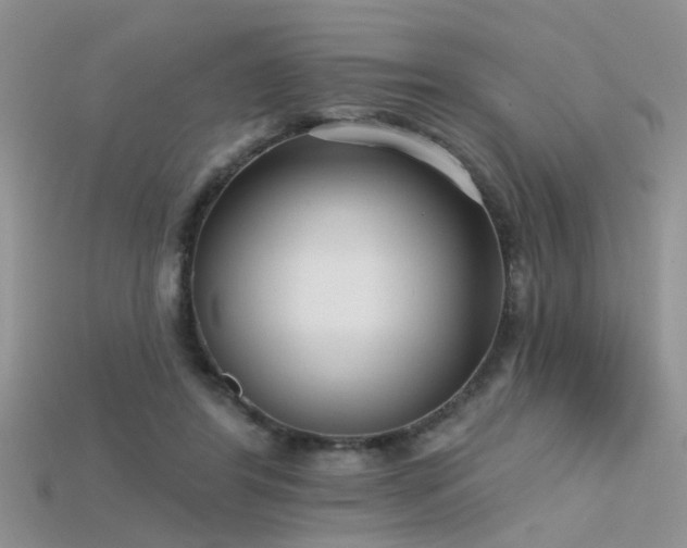 X0000115670404200911121157
