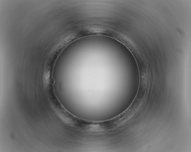 X0000115670406200911121157