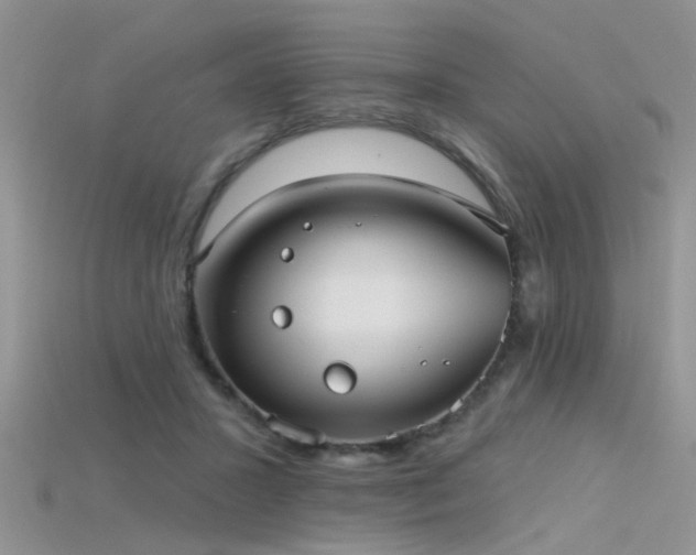 X0000115670407200911121157