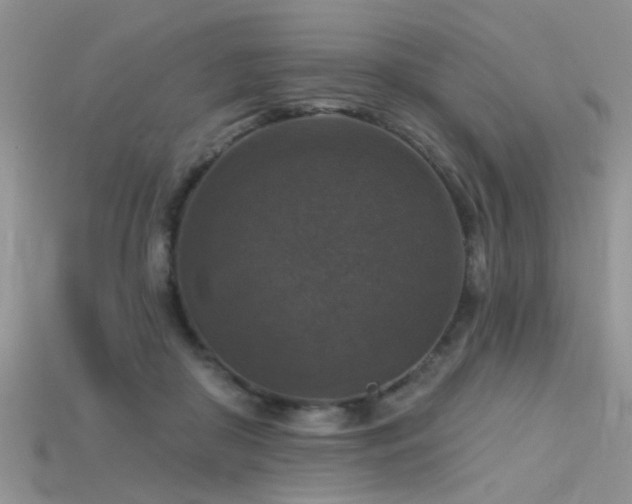 X0000115670410200911121157