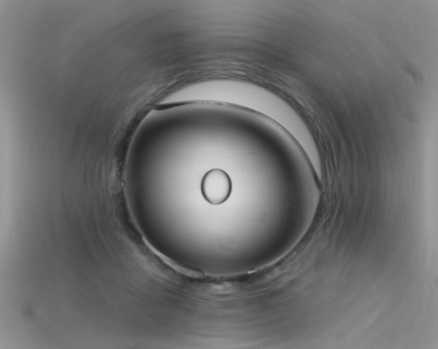 X0000115670411200911121157