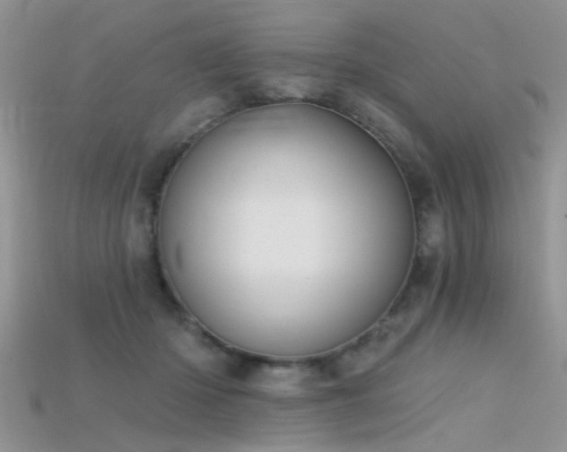 X0000115670414200911121157