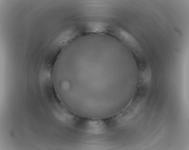 X0000115670415200911121157