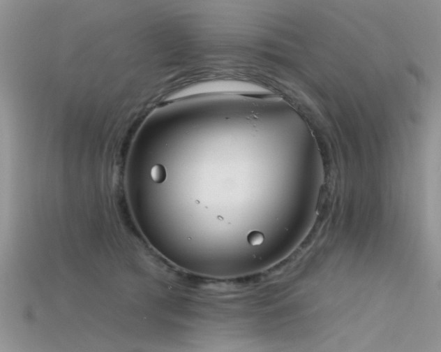 X0000115670417200911121157