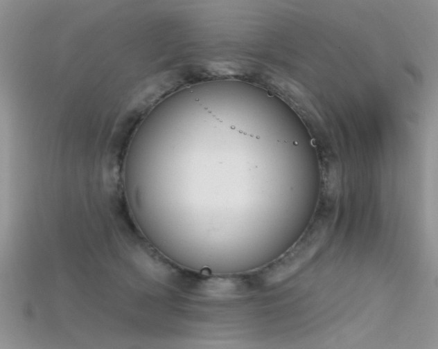 X0000115670418200911121157