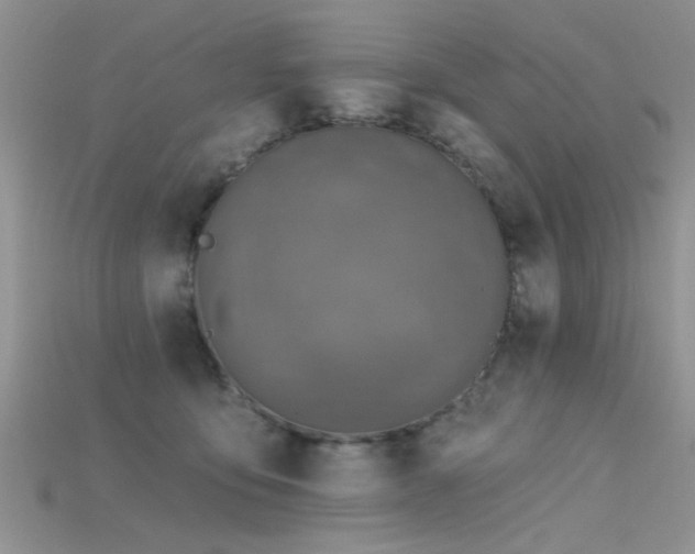 X0000115670419200911121157