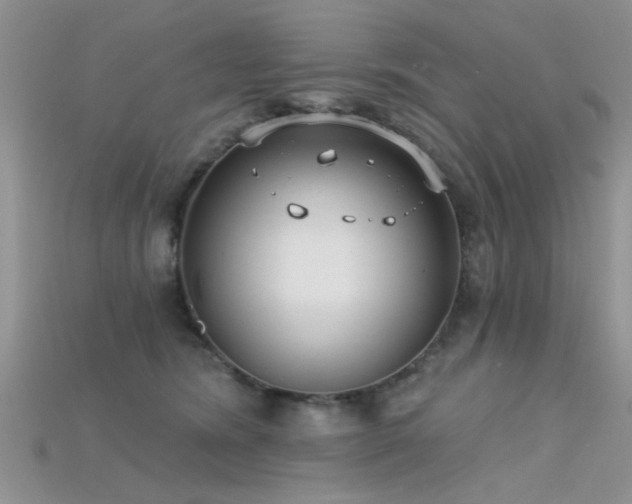 X0000115670420200911121157